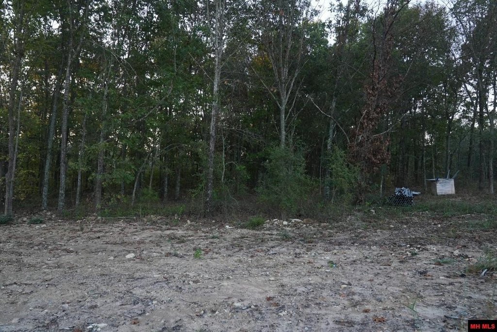 Picture 12