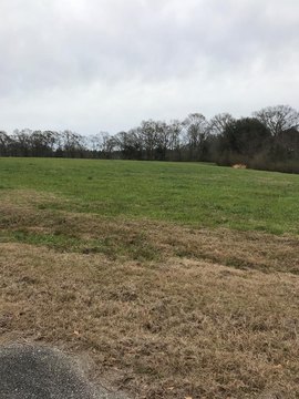 Residential Land in Oak Haven