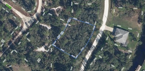 Land - LAKE PLACID, FL