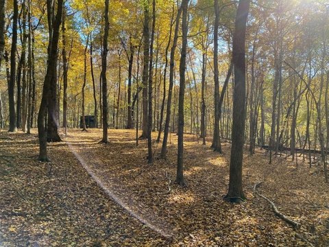 Timber and Tillable Hunting Land
