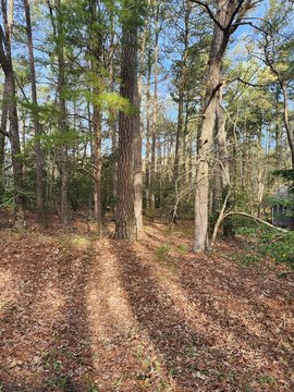 Residential Land in Golf Community