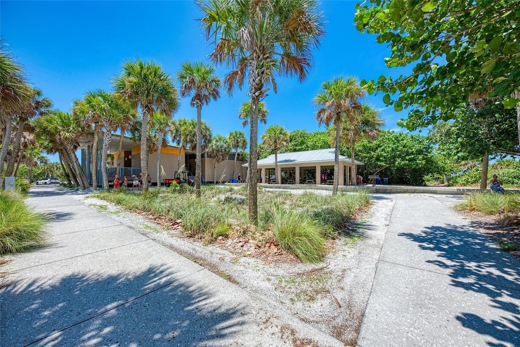 Picture 49