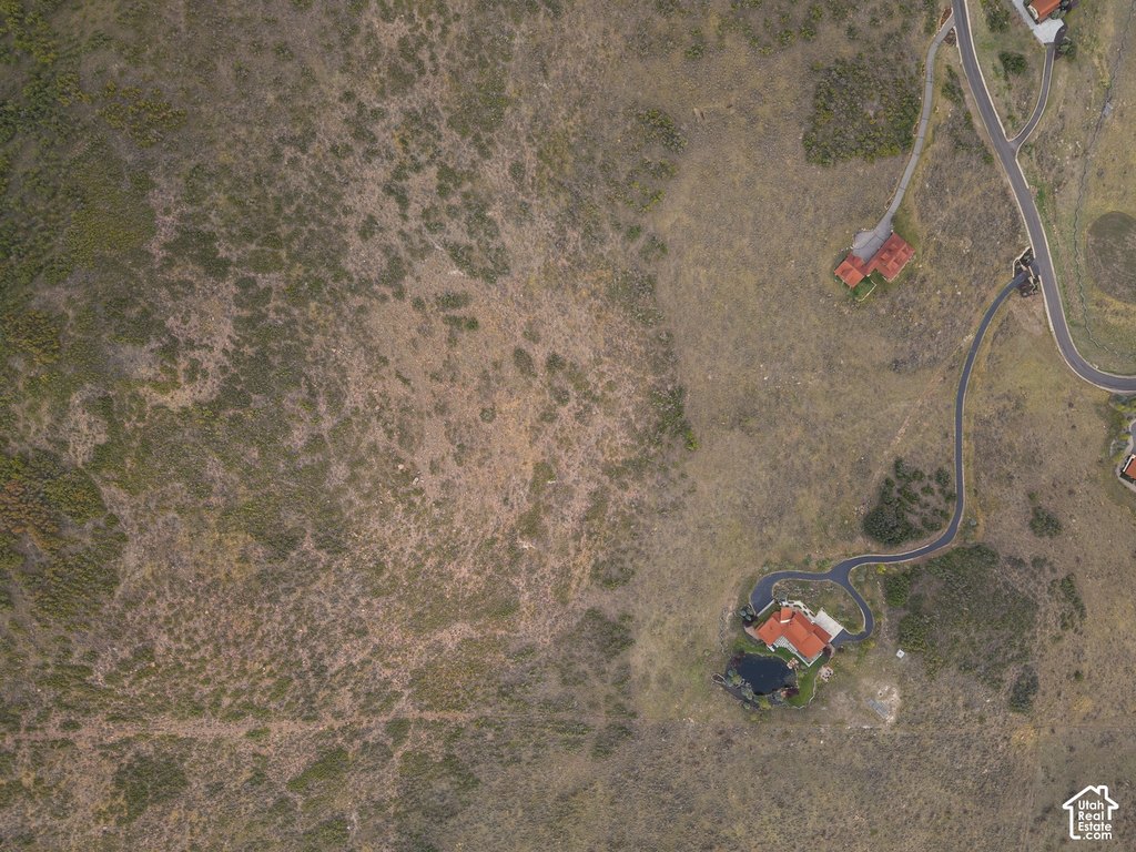 Picture 22