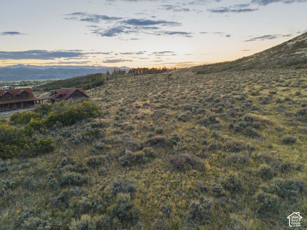 Picture 25