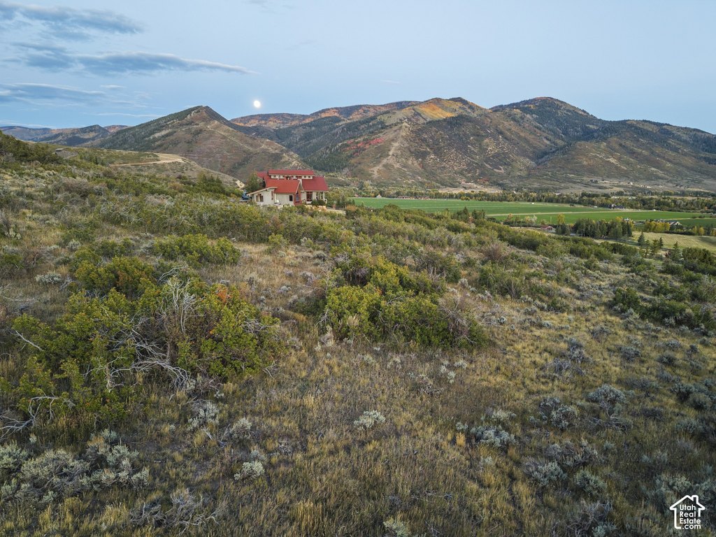 Picture 26