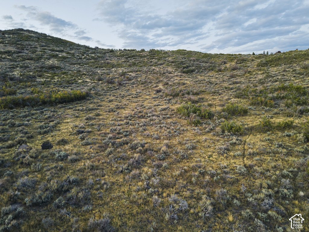 Picture 18
