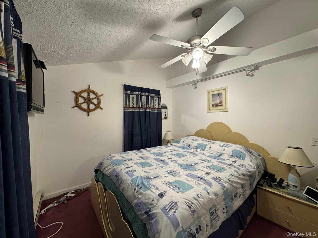 Picture 24