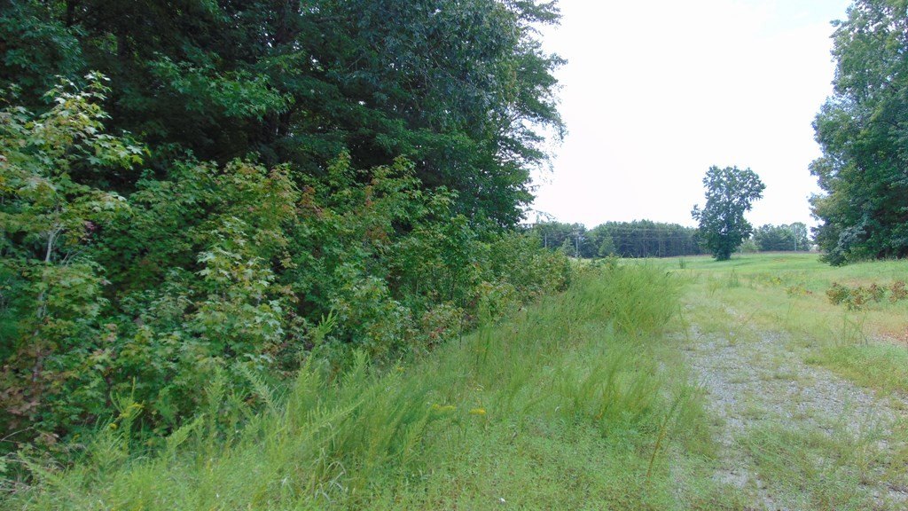 Picture 21