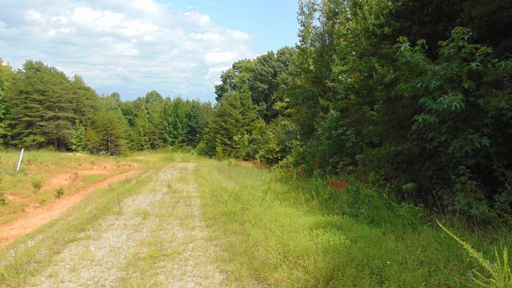 Picture 20
