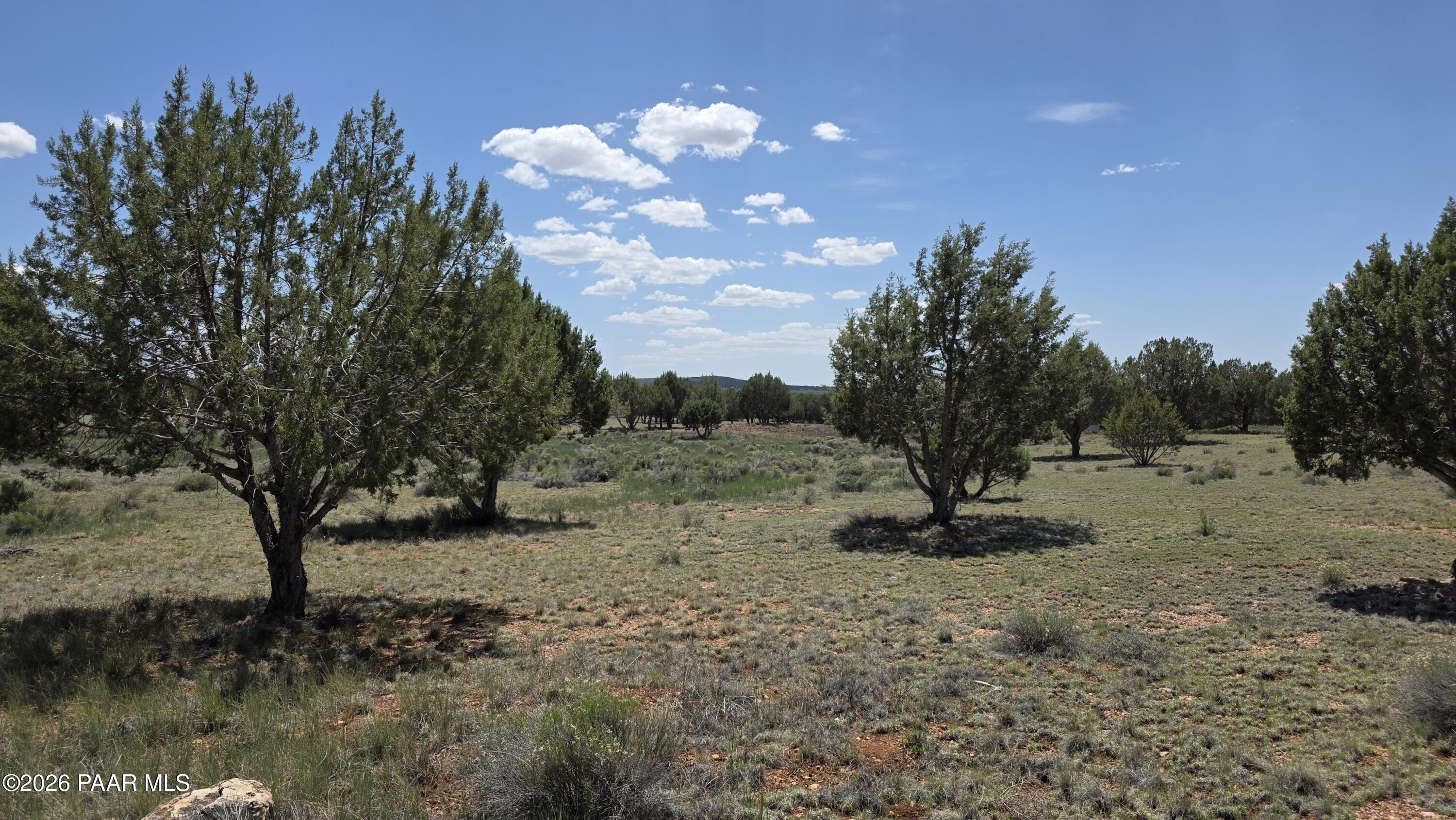 Land Near National Forest
