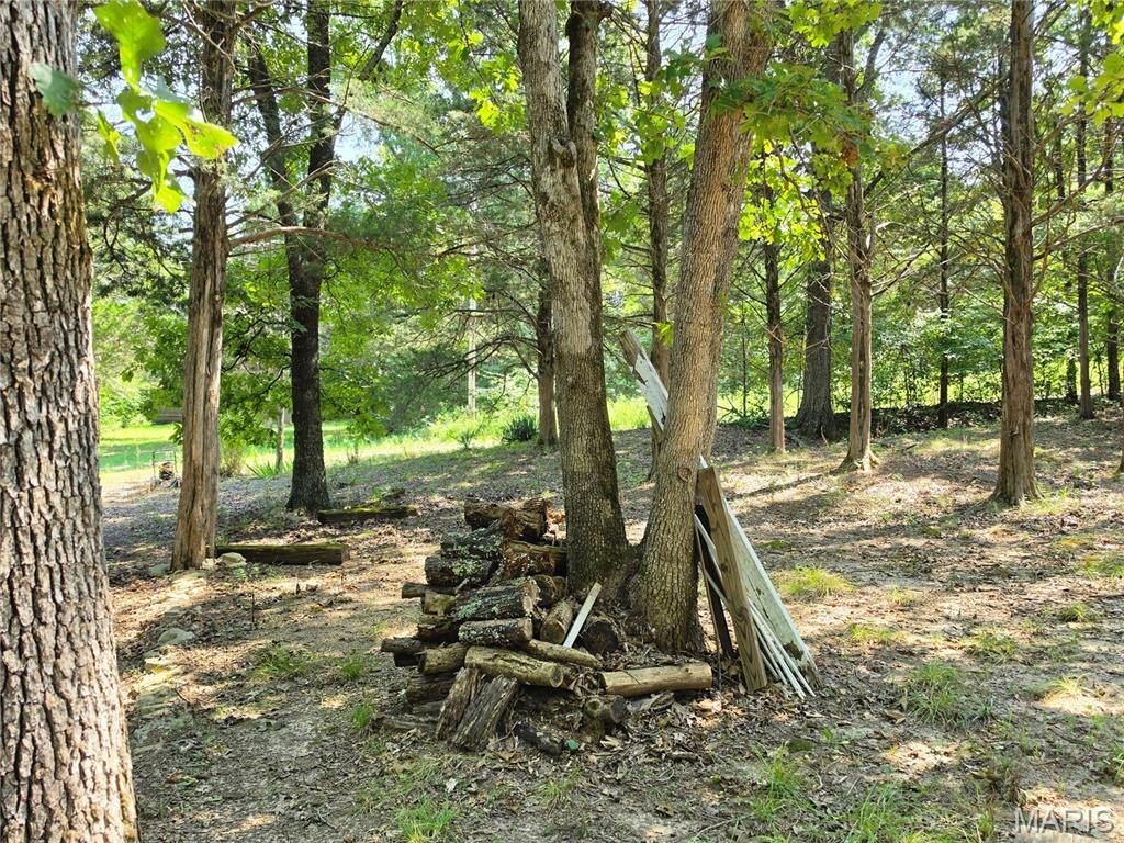 Picture 15