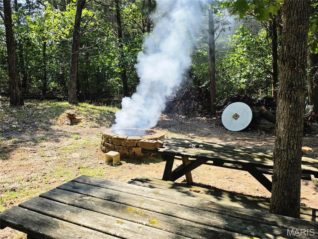 Picture 16