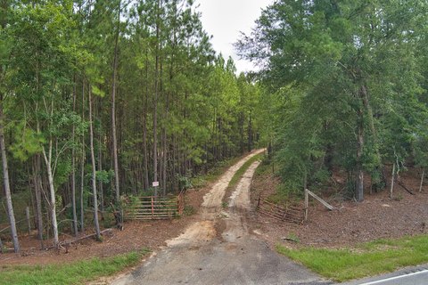 Aiken County Hunting Land