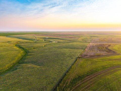 Productive Livestock & Cropland Tract