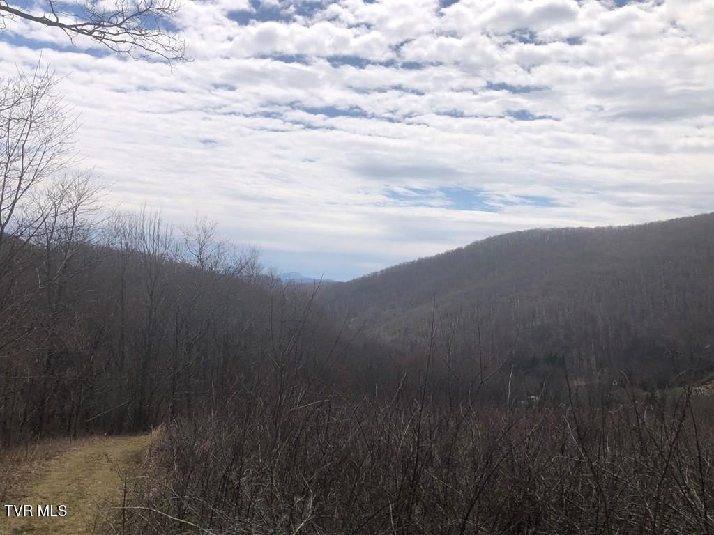 19.6 Acres Bordering National Forest
