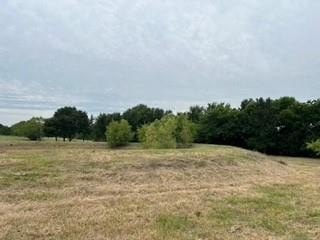 Picture 22