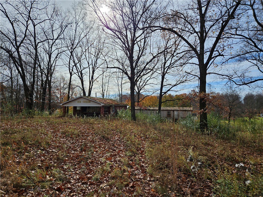 Picture 2