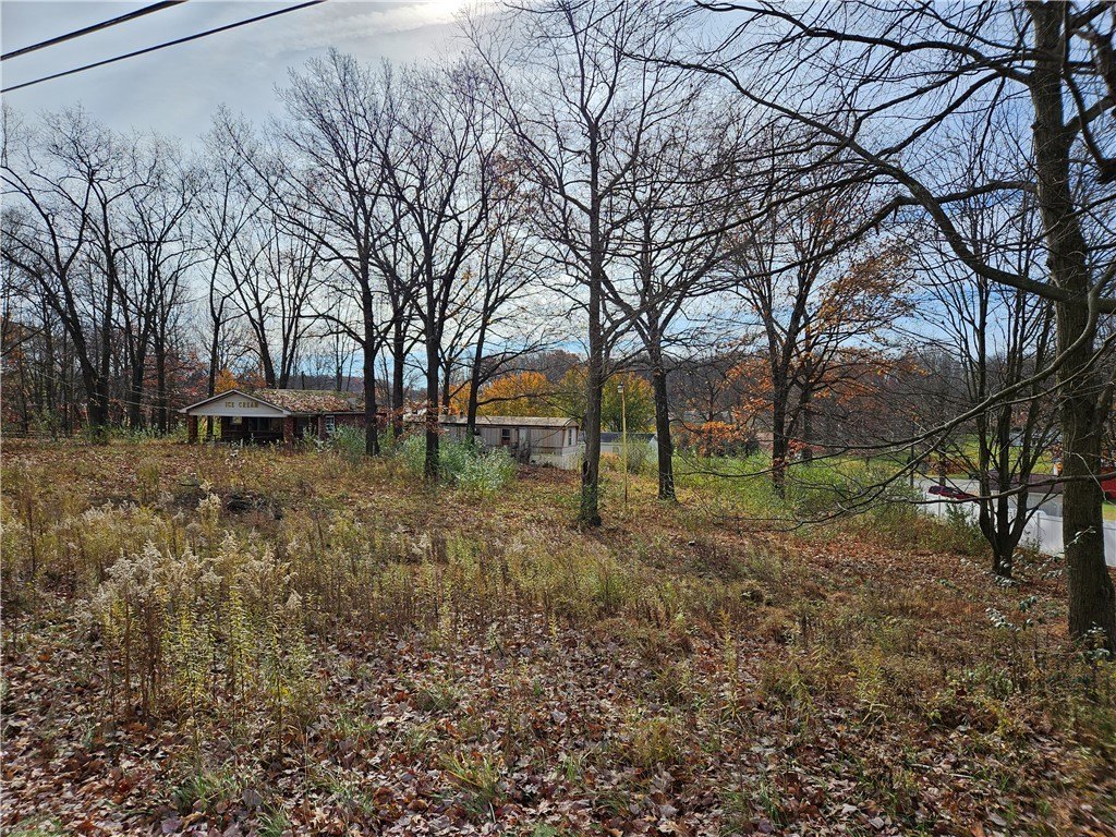 Picture 12