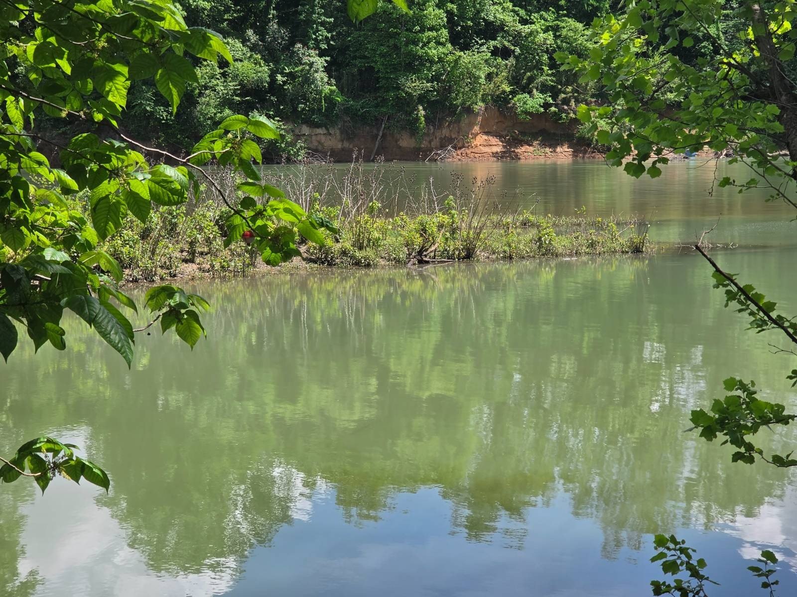 Secluded Land in Maynard, AR