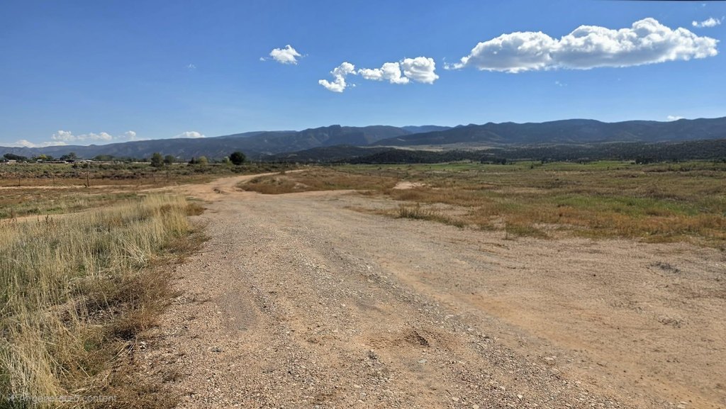Picture 26