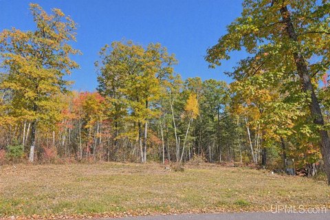 VACANT LAND, Dunbar T-WI, WI