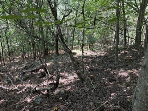 LAND - Blairsville, GA