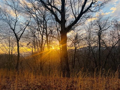 Vacant Lot in Gated Community