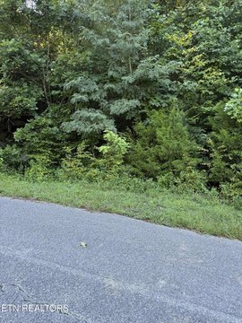 Lots & Acreage, Sharps Chapel, TN