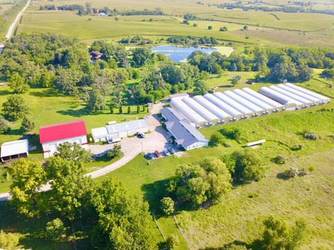 Commercial Hydroponic Greenhouse with Warehouse