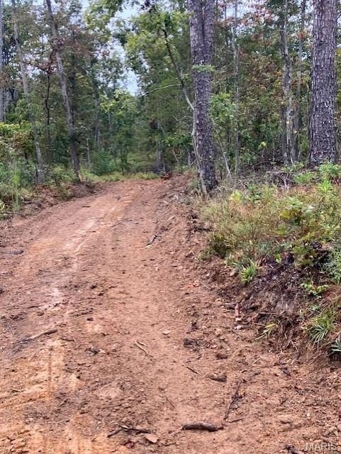 Wooded Acreage Near National Forest