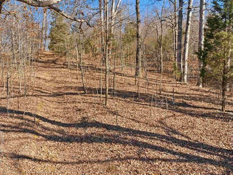 Philpot, KY Acreage for Sale