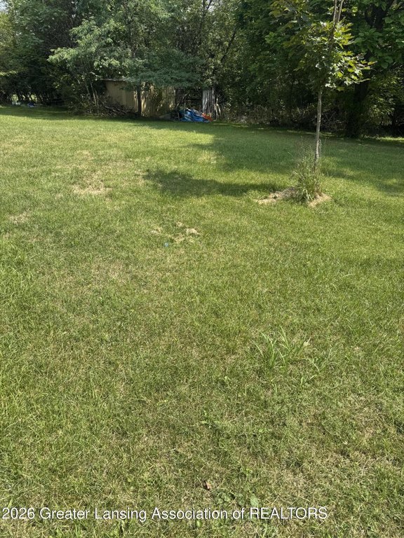 Picture 7