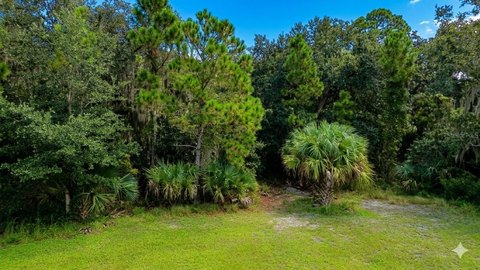 Land, OAK HILL, FL