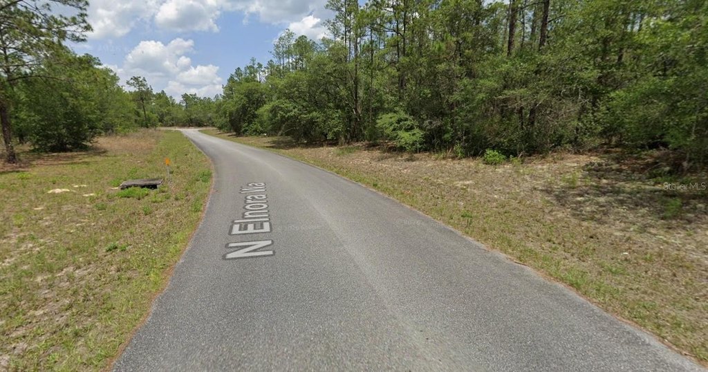 Picture 4