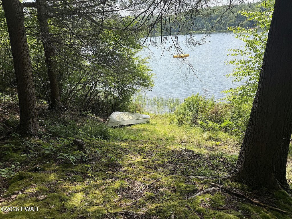 Picture 19