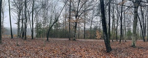 Lake View Lot in Stillwater