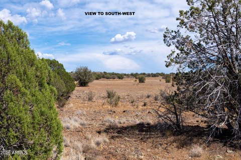 LAND - Paulden, AZ