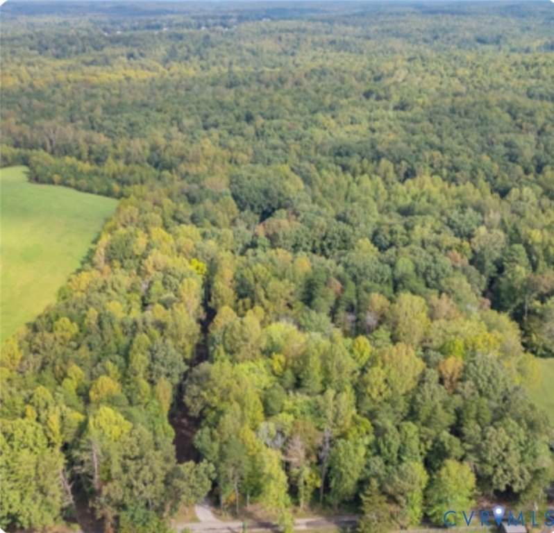 Goochland, VA Wooded Land