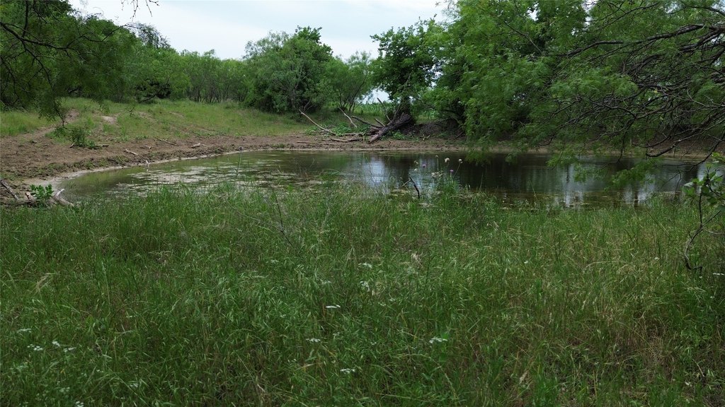 Picture 7