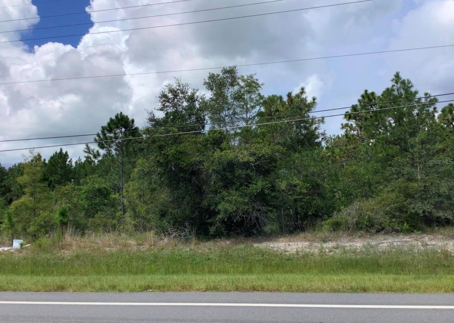 Orlando Land in Wedgefield