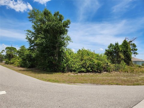 Oversized Corner Home Lot