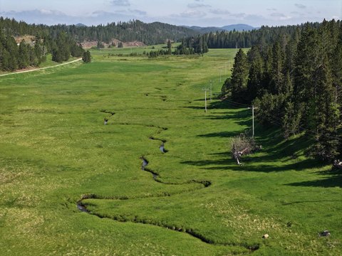 Black Hills Ranch with Creeks