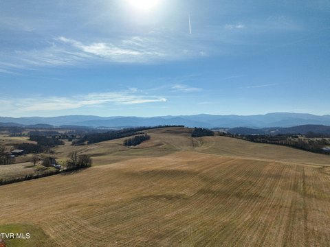 100 Acres Prime Limestone Land