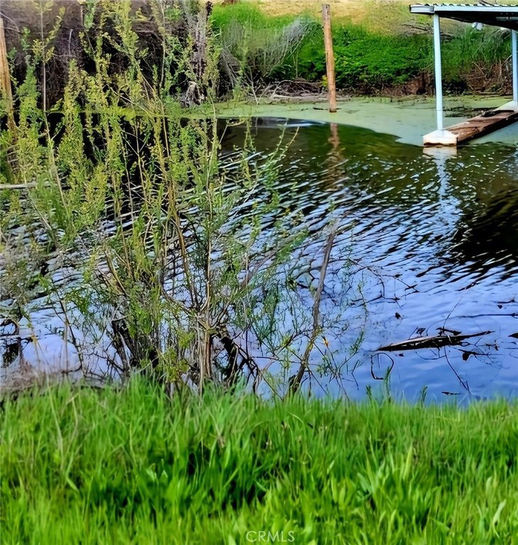 Picture 4