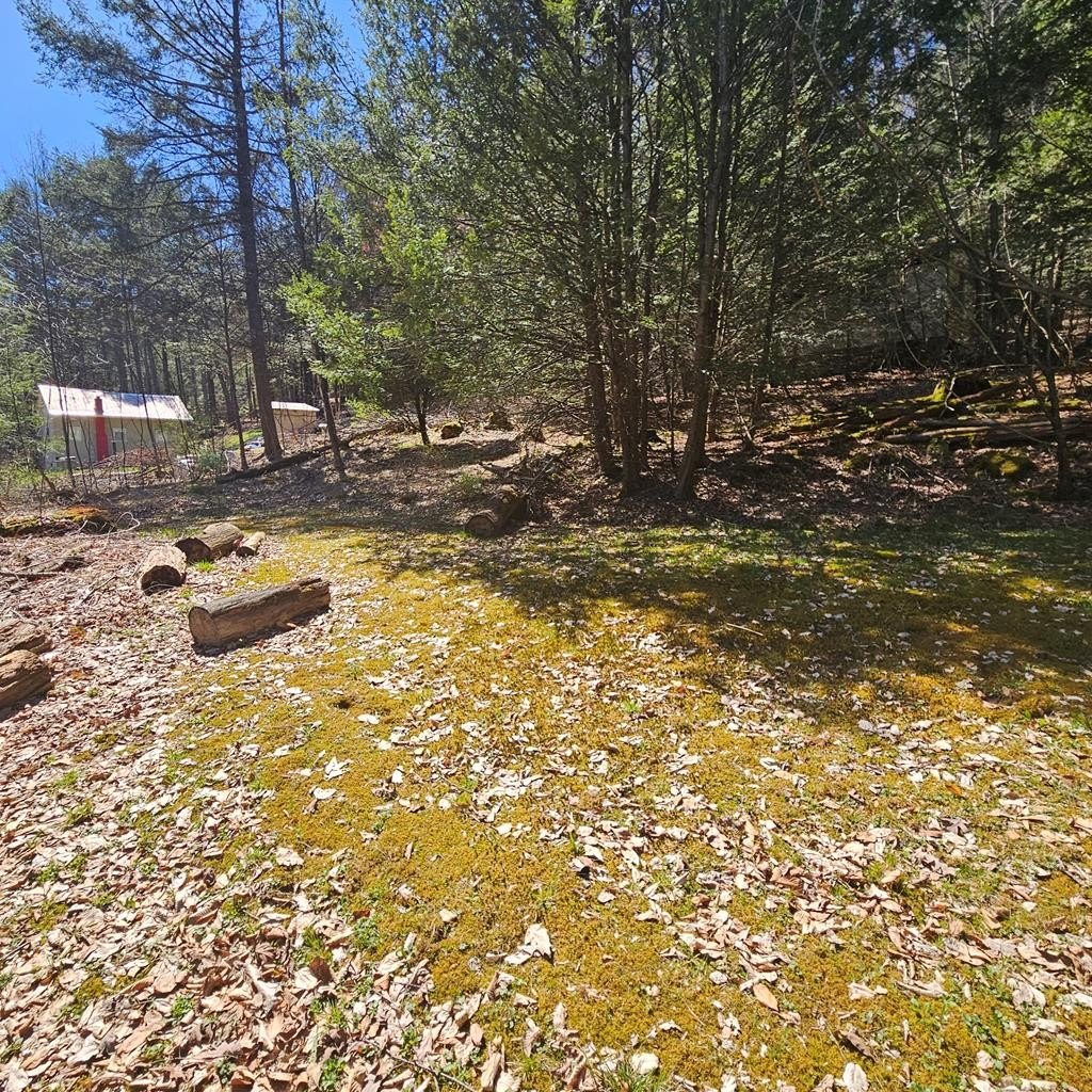 Land in Elk Territory