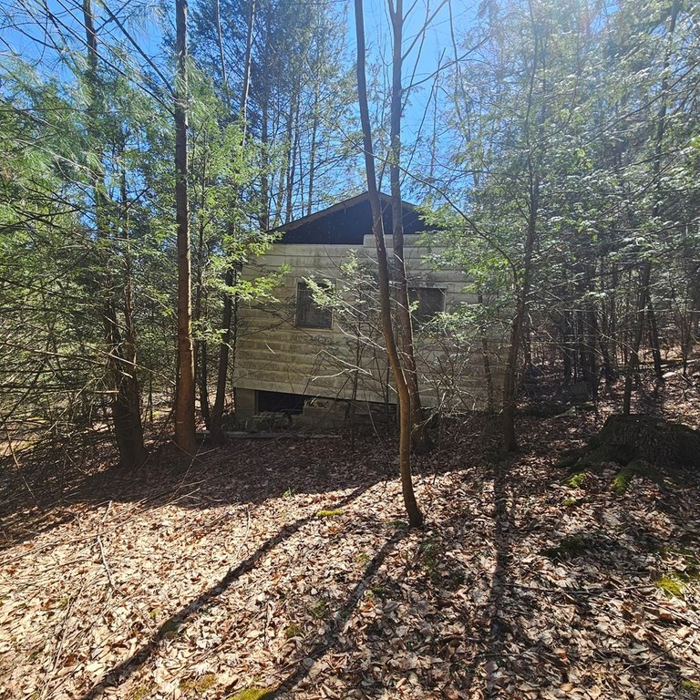 Picture 5