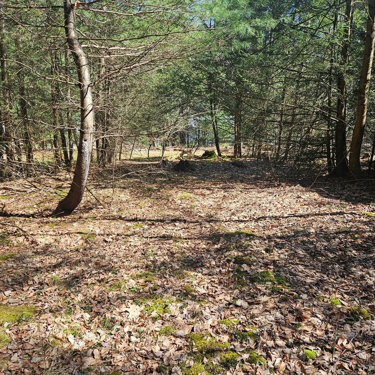 Picture 7