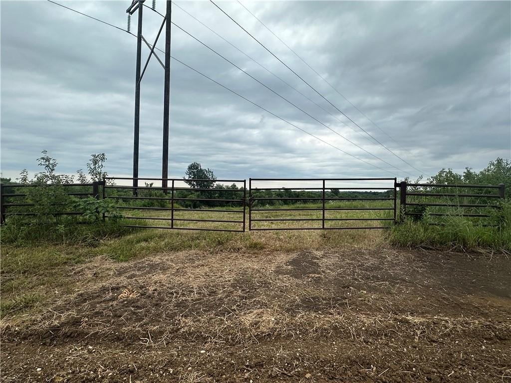 Picture 18