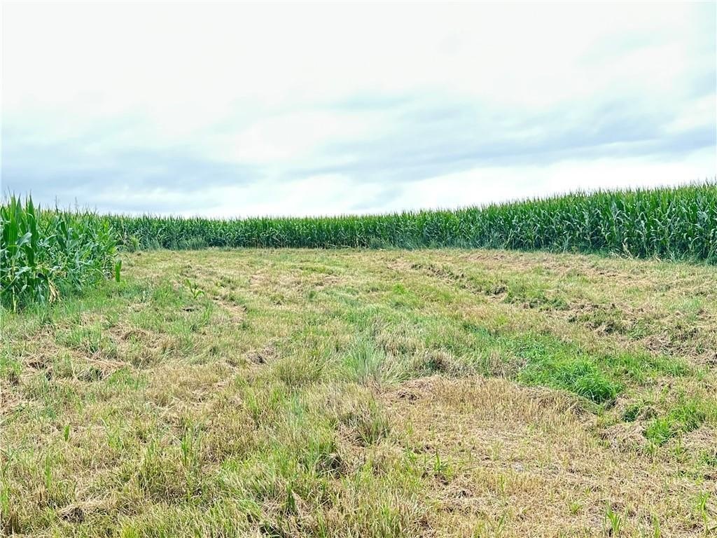 Picture 20