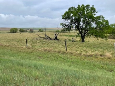 High-Visibility Commercial Land